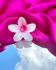 Pince cheveux été Rosa